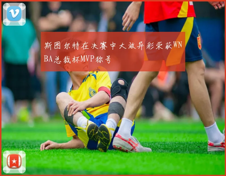 斯图尔特在决赛中大放异彩荣获WNBA总裁杯MVP称号